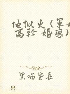 他似火 (军婚 高干 婚恋)全文在线阅读