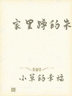 家里蹲的朱教授