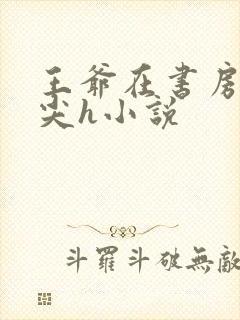 王爷在书房含乳尖h小说