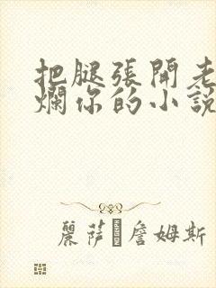 把腿张开老子臊烂你的小说