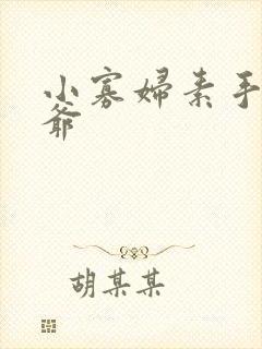 小寡妇素手擒四爷