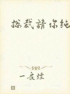 总裁请你纯洁点