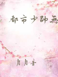 都市少帅无弹窗