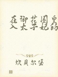 在御花园皇上进入太子妃的小说