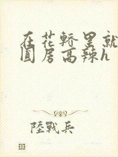 在花轿里就开始圆房高辣h