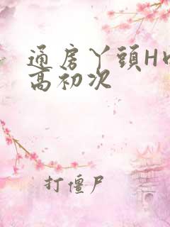 通房丫头H肉辣高初次