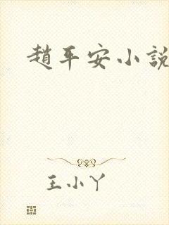 赵平安小说主角