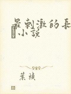最刺激的长篇乱惀小说