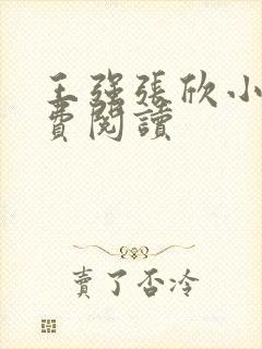 王强张欣小说免费阅读