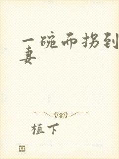 一碗面拐到美艳妻