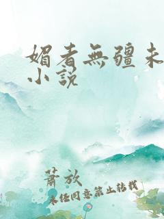 媚者无疆未删减小说