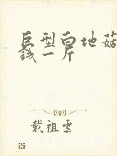 巨型白地菇多少钱一斤