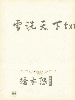 雪洗天下txt