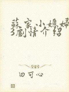 苏家小媳妇1v3剧情介绍