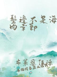 鬓边不是海棠红肉章节