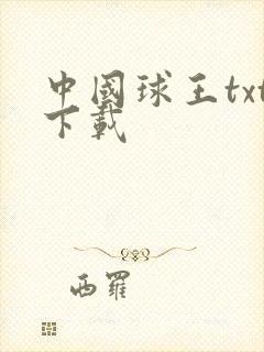 中国球王txt下载