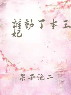 谁动了本王的悍妃
