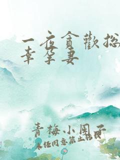 一夜贪欢总裁的幸孕妻