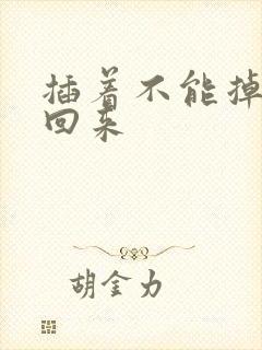 插着不能掉等我回来