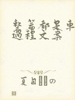 整篇都是车的肉过程文案