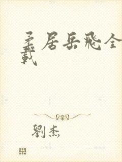 柔居岳飞全传下载