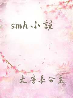 smh小说