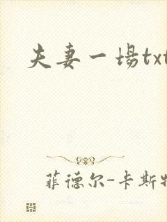 夫妻一场txt