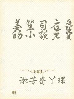 姜笙司夜爵顾念的小说免费阅读