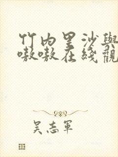 竹内里沙与黑人嗷嗷在线观看