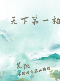 天下第一相书
