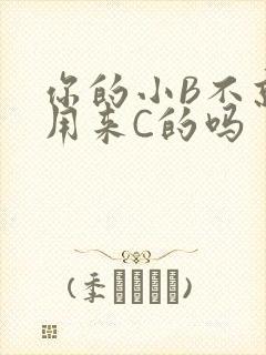 你的小B不就是用来C的吗