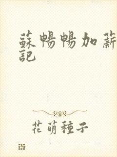 苏畅畅加薪奋斗记