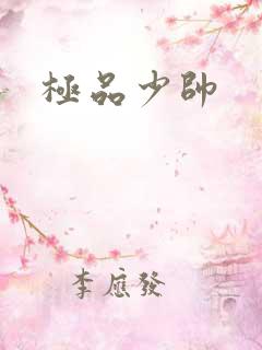 极品少帅