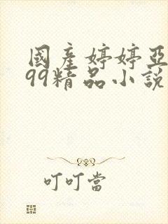 国产婷婷亚洲999精品小说