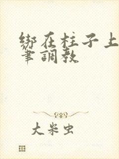 绑在柱子上用毛笔调教