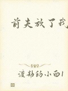 前夫放了我