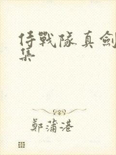 侍战队真剑者全集