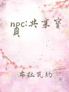 npc:共享宝贝