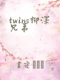 twins柳泽兄弟