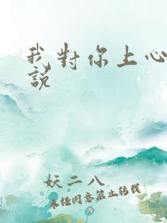 我对你上心了小说