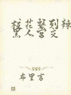 校花系列辣h文黑人宫交