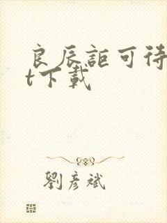 良辰讵可待txt下载