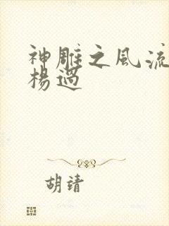 神雕之风流浪子杨过