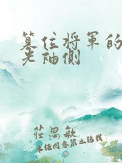 篡位将军的白月光袖侧