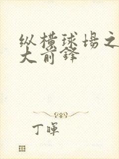 纵横球场之暴力大前锋