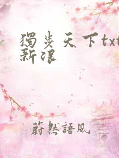 独步天下txt新浪