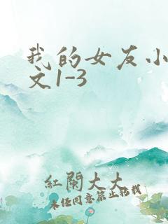 我的女友小洁全文1-3