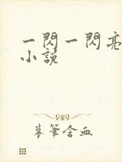 一闪一闪亮星星小说