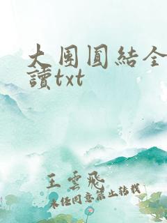 大团圆结全文阅读txt