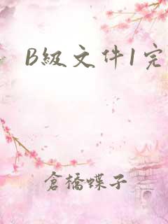 B级文件1完整